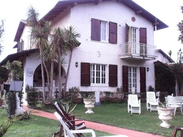 casa indipendente in vendita a Montignoso in zona Cinquale