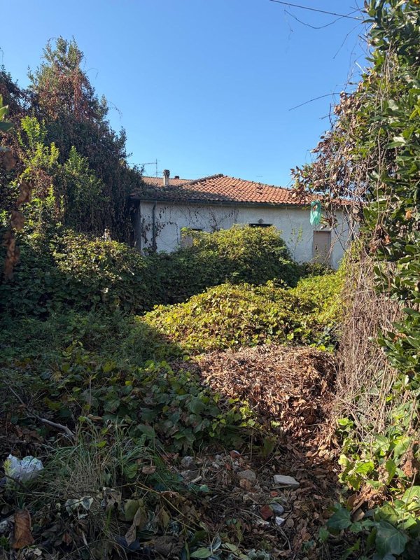 casa indipendente in vendita a Montignoso in zona Cinquale