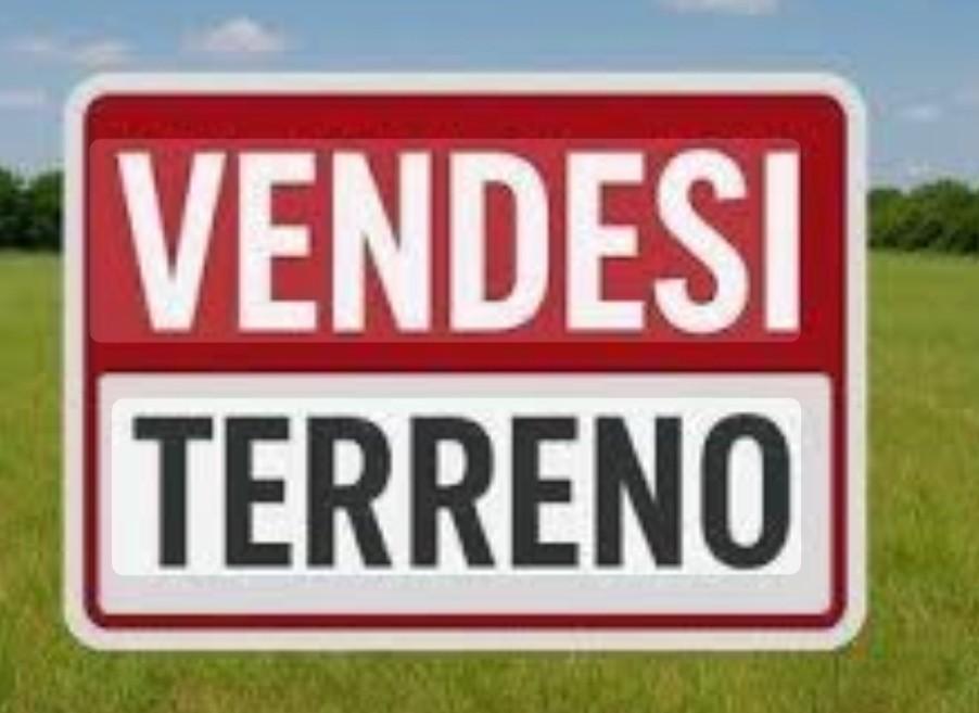 terreno agricolo in vendita a Montignoso in zona Renella