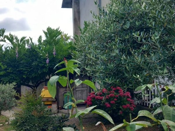 casa indipendente in vendita a Mulazzo