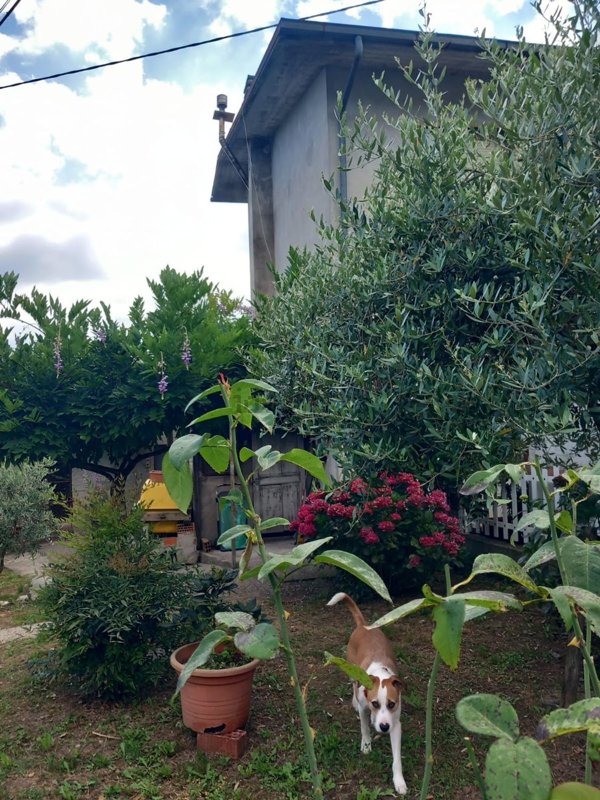 immagine annuncio 0 di 1