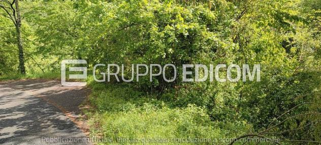 casa indipendente in vendita a Mulazzo in zona Casa di Loia