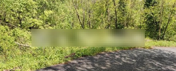 casa indipendente in vendita a Mulazzo in zona Casa di Loia