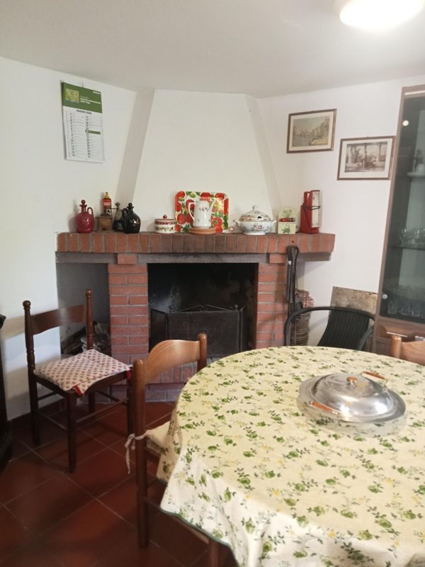 casa indipendente in vendita a Podenzana