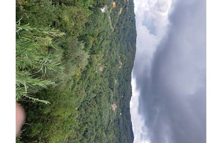 casa indipendente in vendita a Podenzana