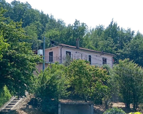 casa indipendente in vendita a Podenzana