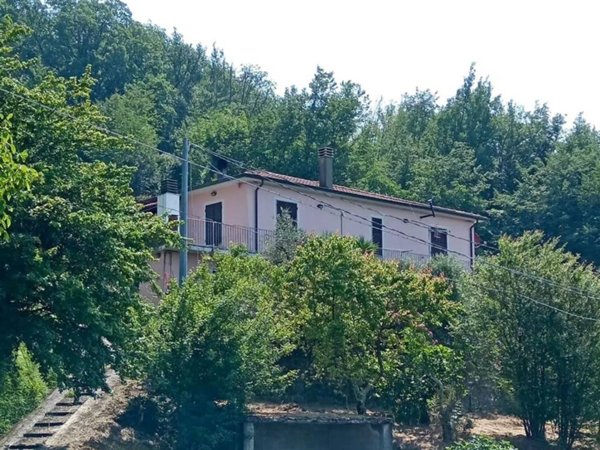 casa indipendente in vendita a Podenzana