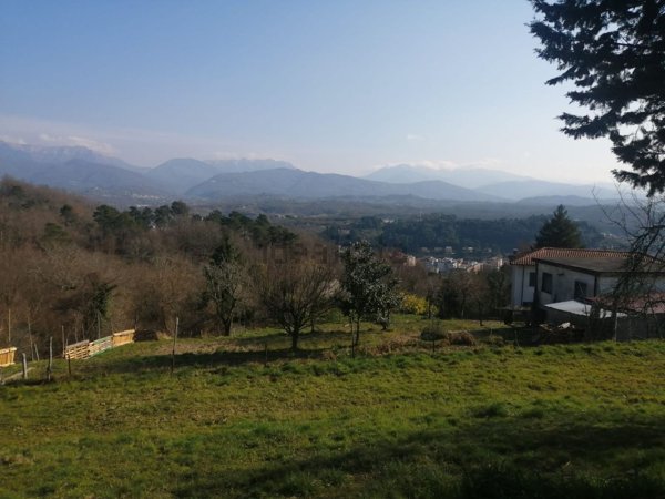 pentavano in vendita a Podenzana