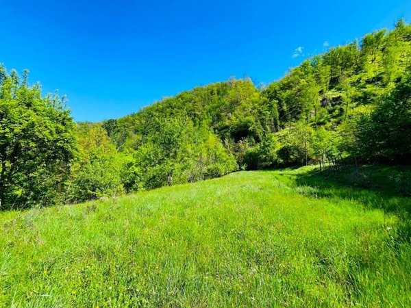 terreno agricolo in vendita a Pontremoli