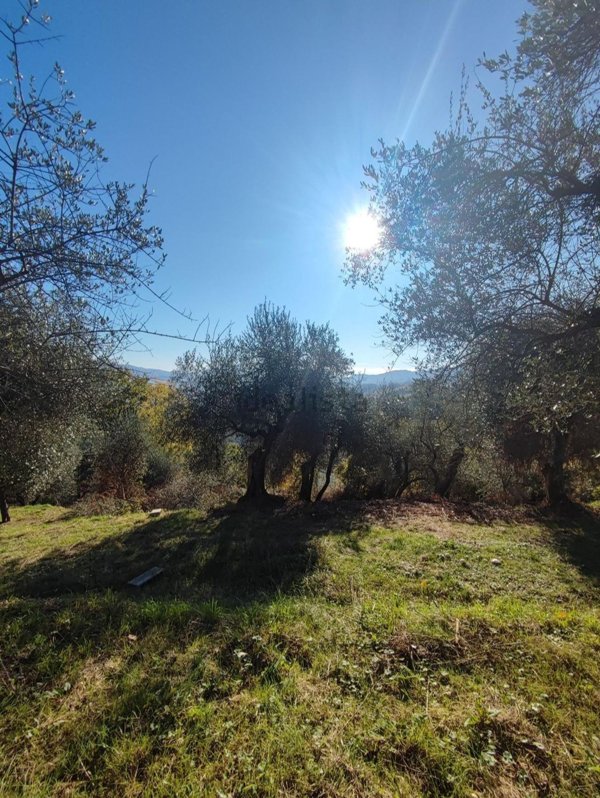 azienda agricola in vendita a Pontremoli in zona Oppilo