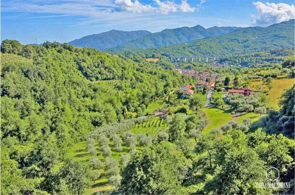 terreno agricolo in vendita a Pontremoli