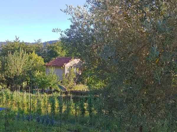 casa indipendente in vendita a Tresana