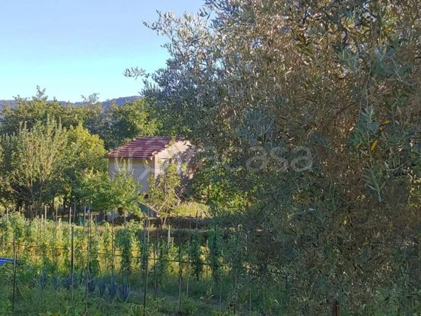 casa indipendente in vendita a Tresana