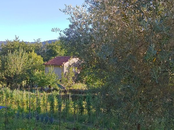 appartamento in vendita a Tresana