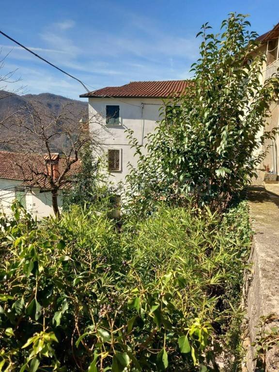 casa indipendente in vendita a Tresana