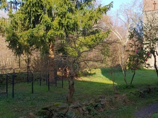 casa indipendente in vendita a Tresana