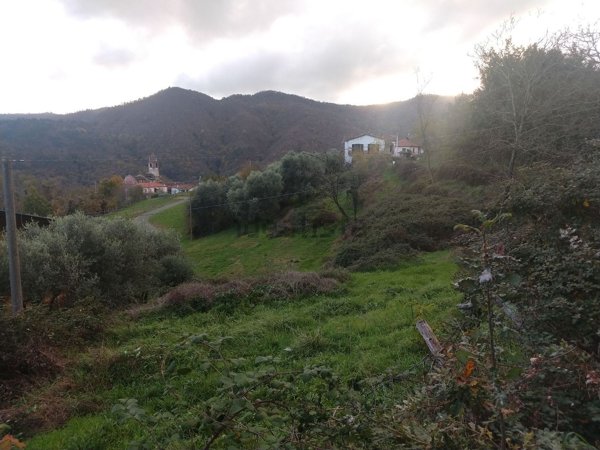 terreno agricolo in vendita a Tresana