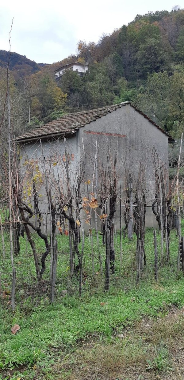 appartamento in vendita a Tresana