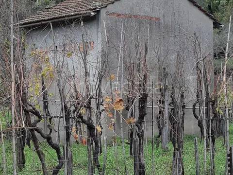 casa indipendente in vendita a Tresana