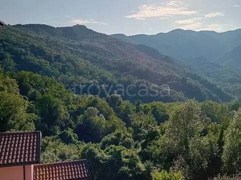 casa indipendente in vendita a Tresana