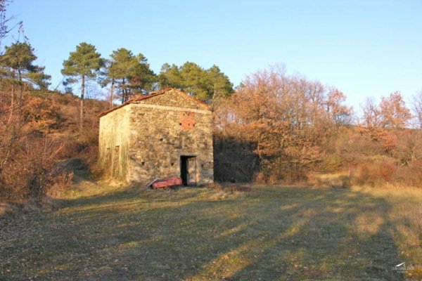 appartamento in vendita a Tresana