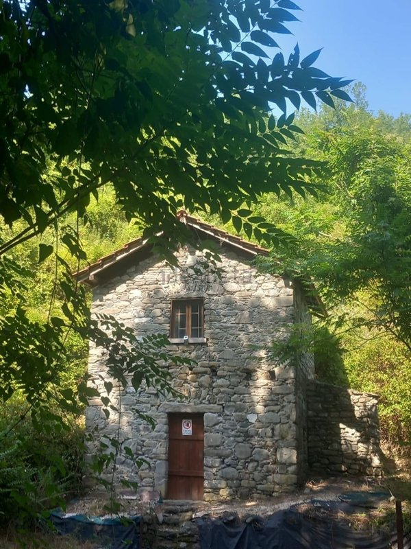 casa indipendente in vendita a Tresana