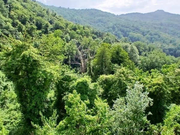 appartamento in vendita a Tresana