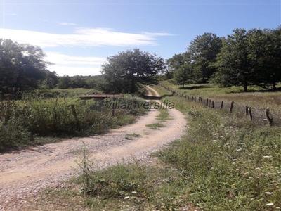 azienda agricola in vendita a Villafranca in Lunigiana