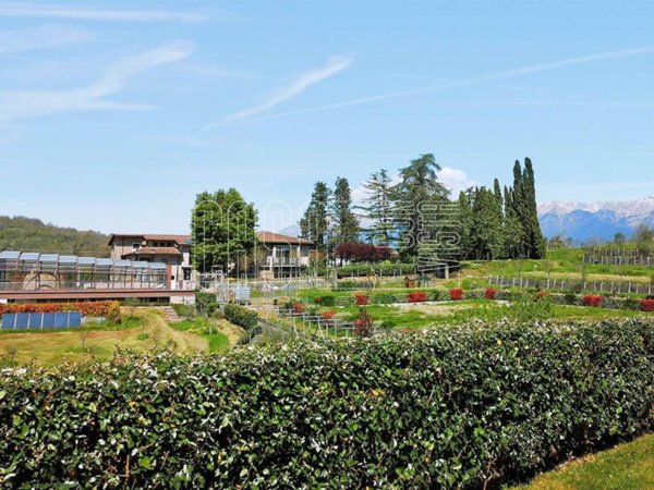 negozio in vendita a Villafranca in Lunigiana