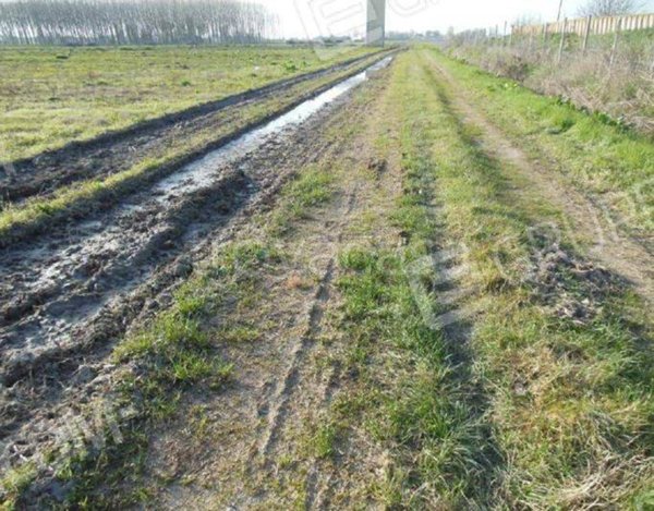 terreno agricolo in vendita a Villafranca in Lunigiana in zona Merizzo