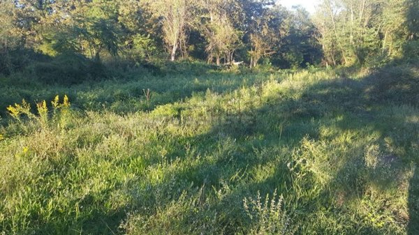 locale di sgombero in vendita a Villafranca in Lunigiana