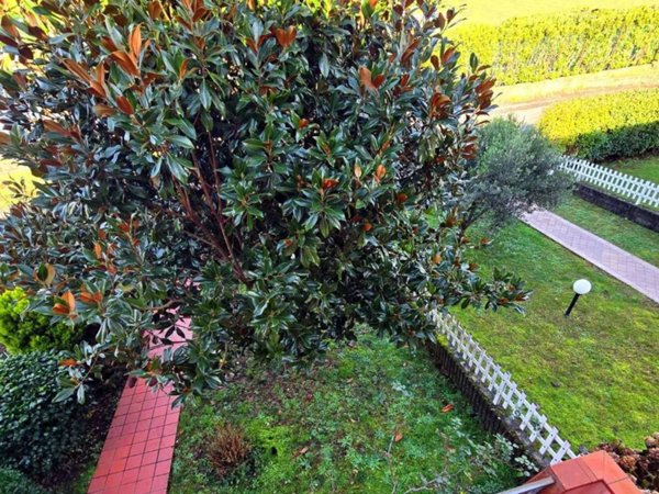 casa indipendente in vendita a Villafranca in Lunigiana