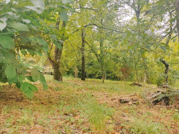terreno edificabile in vendita a Villafranca in Lunigiana