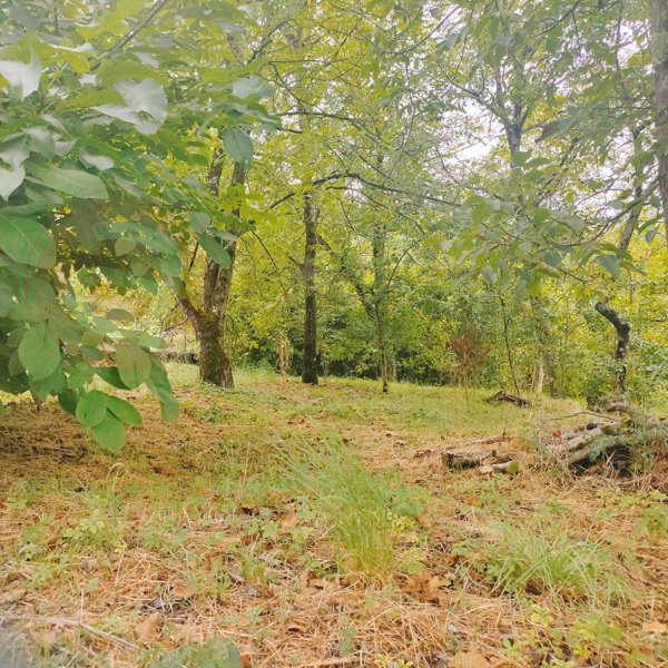 casa indipendente in vendita a Villafranca in Lunigiana