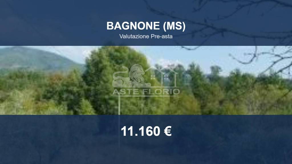 terreno agricolo in vendita a Villafranca in Lunigiana