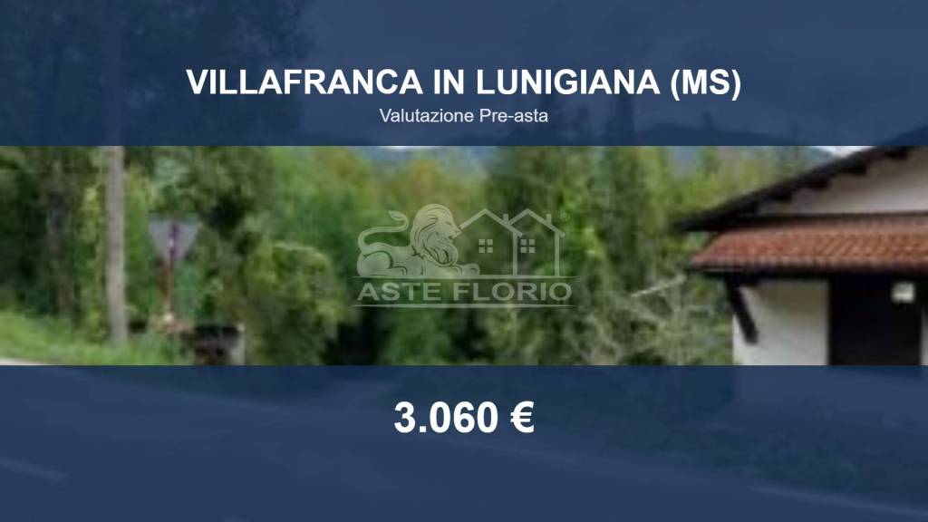 terreno agricolo in vendita a Villafranca in Lunigiana
