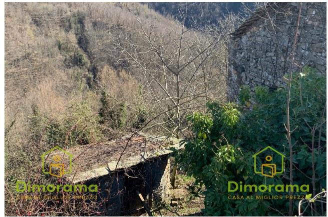 negozio in vendita a Zeri