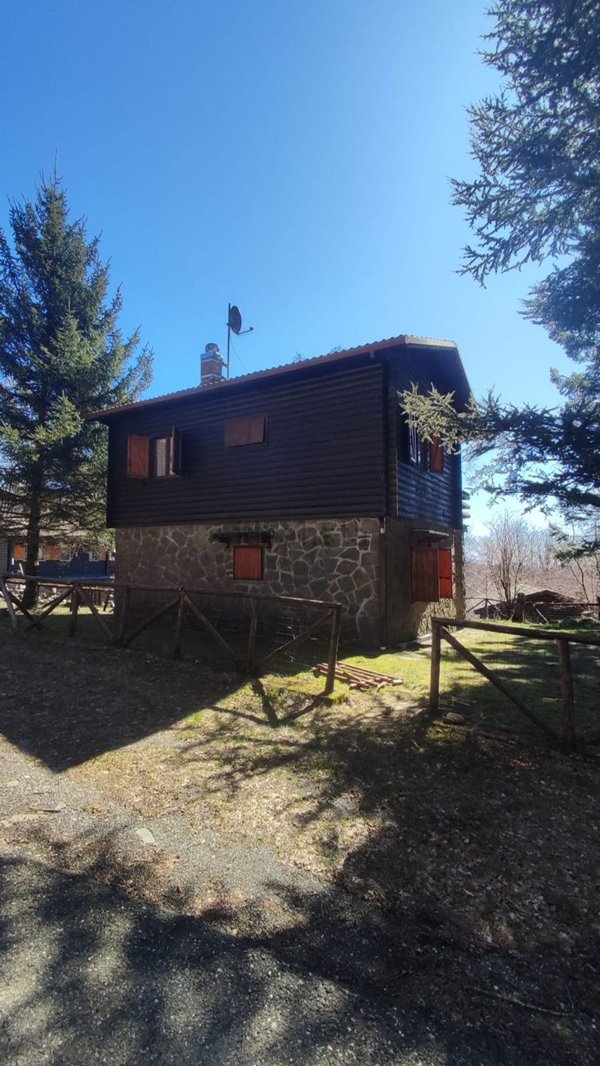 pentavano in vendita a Zeri