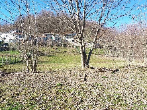 casa indipendente in vendita a Zeri in zona Coloretta