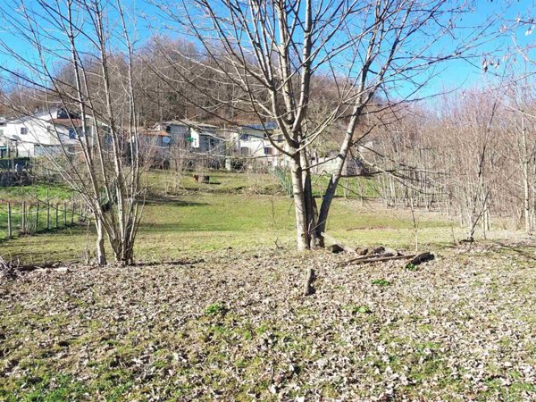 casa indipendente in vendita a Zeri in zona Rossano