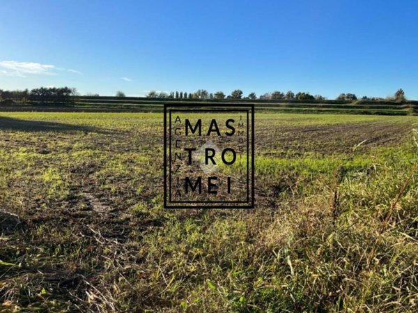 terreno agricolo in vendita ad Altopascio