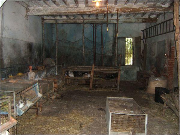 casa indipendente in affitto ad Altopascio