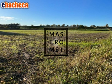 terreno agricolo in vendita ad Altopascio