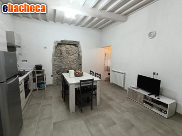 casa indipendente in vendita ad Altopascio in zona Marginone