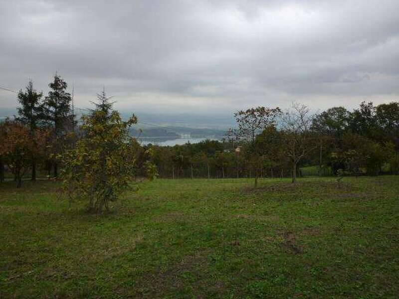 terreno agricolo in vendita ad Altopascio in zona Spianate