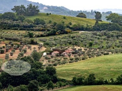 casa indipendente in vendita ad Altopascio