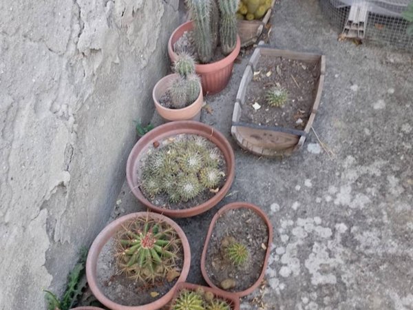 casa indipendente in vendita ad Altopascio in zona Spianate