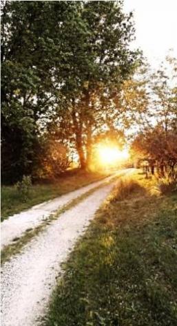 casale in vendita ad Altopascio in zona Spianate