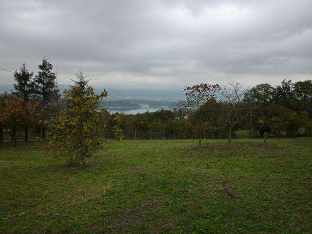 terreno agricolo in vendita ad Altopascio in zona Spianate