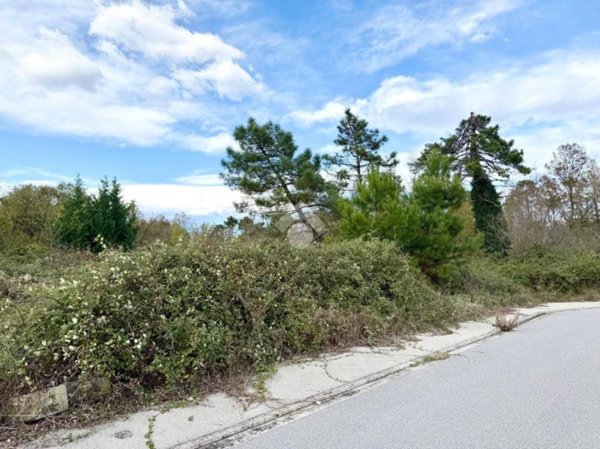 terreno edificabile in vendita ad Altopascio